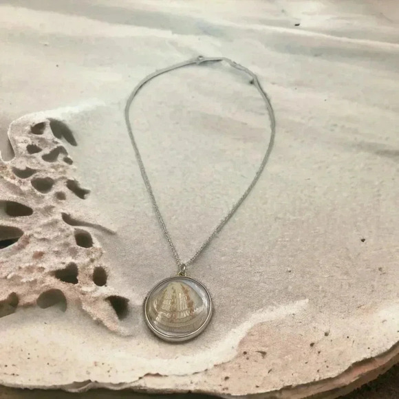 Seashells by the Seashore Cockle Shell Resin Statement Necklace Silver Chain 22" - Picture 1 of 5